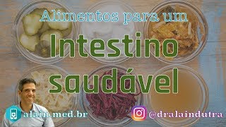 Alimentos para saúde do intestino  Esses são poderosos [upl. by Jenifer]