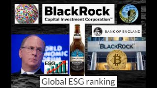 Крипторынок дождался институционалов Тренд Black Rock с системой бизнесрейтинга ESG [upl. by Aissac197]