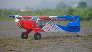 VQ model  Skyfox Sti 20cc size EPGP 2540mm wingspan [upl. by Fleisig]