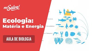 🦠 O que estudar para o ENEM 2024 BIOLOGIA [upl. by Maxie]