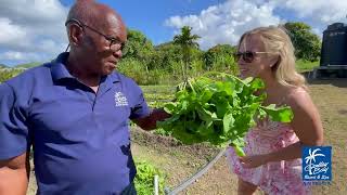 Galley Bay Resort amp Spa — FarmtoTable Garden [upl. by Axe]