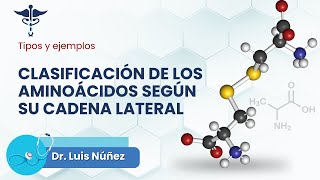 🔎 ¿Cómo se Clasifican los Aminoácidos según su Cadena Lateral  Tipos y Ejemplos 📊 [upl. by Orola]