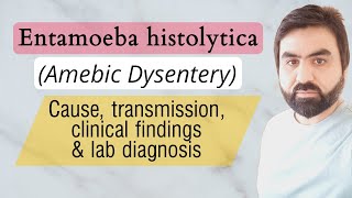 Lec3  Entamoeba histolytica  Transmission  Life cycle  Pathogenesis  Lab diagnosis UrduHindi [upl. by Hermina308]