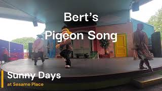 Berts Pigeon Song at Sesame Place Sesame Street Character Bert and Ernie [upl. by Osnerol268]