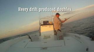 Monster Block Island Stripers [upl. by Farlie]