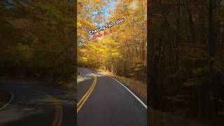 New Hampshire fall2024 autumn fall fallcolours falltime nature fallvibes travel raodtrip [upl. by Aikrehs]