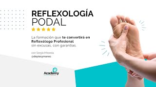 Curso de REFLEXOLOGÍA PODAL Online  dePiesyManos Academy [upl. by Lana]