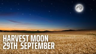 Harvest Moon on September 29th  Solar Eclipse on October 14th  How To Watch  Upcoming Events [upl. by Tnirb]