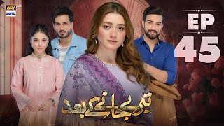 Teray Janay Kay Baad Episode 45  30 Sep 2024  ARY Digital Drama [upl. by Oiralednac598]