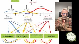 Big Algorithm Types of Eye Floaters Age Demographics Treatment Options [upl. by Ahsiekat]