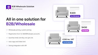 Streamline your Shopify B2B Selling with BSS B2BWholesale Solutions [upl. by Samaria]