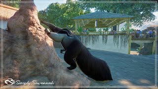 Giant Anteater Habitat  Sundew Safari Park  Planet Zoo Speed Build [upl. by Lail]