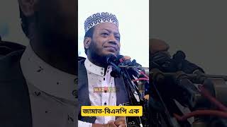 জামাতবিএনপি গোঁপন তথ্য ফাঁস Mufti Amir Hamza WAZ A TO Z [upl. by Heda]