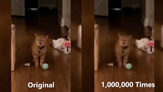 I go meow meme Original Vs I go meow meme over 1000000 times [upl. by Haduhey]