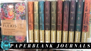 Paper Blanks amp PaperOh Journal Review [upl. by Anjali]