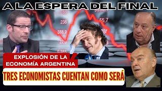 Así explotará la economía argentina Tres economistas cuentan como será milei dolar economia [upl. by Yantruoc]