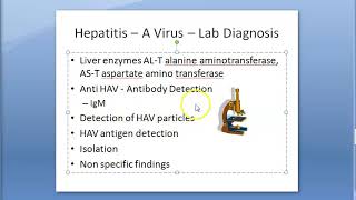 Microbiology 550 b Hepatitis A Virus Feco Oral Infectious Liver Lab Diagnosis HAV [upl. by Brieta]