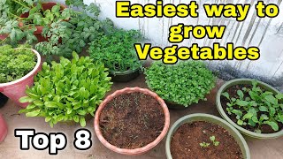 Easiest way to grow Top 8 Vegetables at HomeGarden  Small space gardening CC [upl. by Ara]