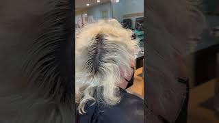 Bleach Retouch 🥰👌🏾 explore viral hairstyle hair bleach color retouch explore viral [upl. by Suoicerpal]