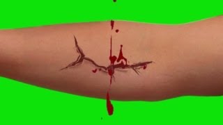 blood spatter from the sore  green screen effect [upl. by Bartle627]