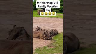 Mr Warthog V18 Family Vacations Day  There is No Problem 😂😂😂😂 [upl. by Ettezil]