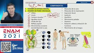 Semiología en Neurología [upl. by Townie]