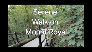 Virtual Therapeutic Hike to Destress Beautiful Mount Royal [upl. by Jacobine]