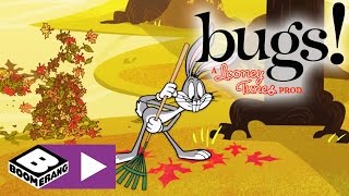 Królik Bugs serial twórców Zwariowanych melodii  Jesienne liście  Cartoonito [upl. by Aneeh364]