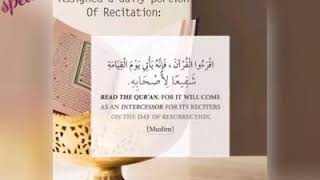 Read Quran Daily with Understanding [upl. by Valerye]