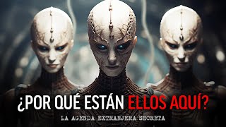 ¿POR QUÉ ESTÁN ELLOS AQUÍ La agenda extraterrestre secreta ¡lo que NECESITAS saber Paul Wallis [upl. by Adnauqal304]