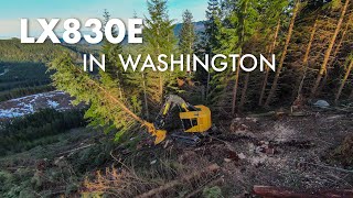 Tigercat LX830E Feller Buncher in Washington [upl. by Nnaik102]