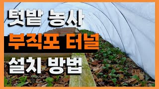 텃밭 12월 부직포터널 설치방법 사계절 신선한 야채 먹기봄 고추시금치해충방지 등 한랭사 차광막 설치방법 [upl. by Naujik]