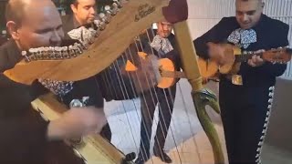 Grandes Músicos Interpretando “Pájaro Campana”  Machestitos y Fabián 🔥🔥🔥 [upl. by Elfreda]