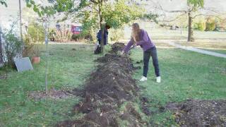 Intro to Permaculture 14  Bill and Beckys Permaculture Raingardens amp Yard [upl. by Caresse]