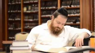 Shor Yoshuv  ShenemarEli Gerstner Music Video שאר ישוב מוסיקת וידאו [upl. by Acinorrev225]