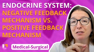 Negative Feedback Mechanism vs Positive Feedback Mechanism  MedSurg  Endocrine  LevelUpRN [upl. by Remus]