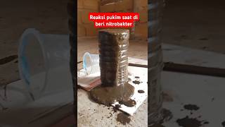 Reaksi pukim saat di beri nitrobakter [upl. by Anawek256]