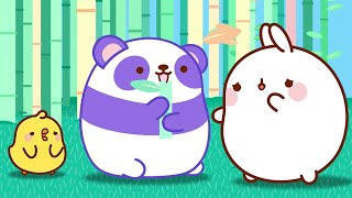 Molang  The Panda 🐼  Funny Cartoons For Kids  HooplaKidz Toons [upl. by Zanze]