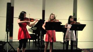 Pachelbels Canon in D major for three violins [upl. by Nevla]