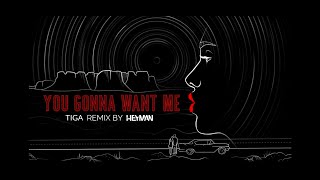 Tiga  You Gonna Want Me Heyman Bootleg Remix [upl. by Mij]