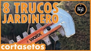 CORTAR SETOS LOS MEJORES TRUCOS DE JARDINERO VICTORIANO CURSO de JARDINERIA con Recicleitor [upl. by Rehpotsihrc]