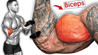 Bigger And Wider Biceps Workout 6 Effective Exercise You Need [upl. by Mcdonald]