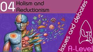 Holism and reductionism  Issues and debates ALevel Psychology [upl. by Blodget668]