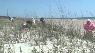 Planting Sea Oats [upl. by Bodi64]