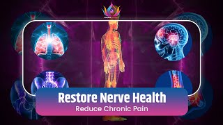 Restore Nerve Health and Reduce Chronic Pain  Powerful Nerve Regeneration Sound Therapy  528hz [upl. by Idolem]