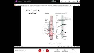 TyTl Teórico de fisiología Sistema equilibrio motor [upl. by Germayne]