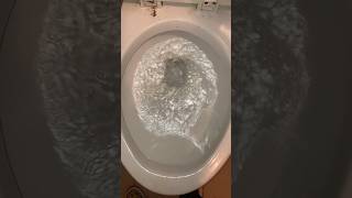 Testing a Gerber toilet [upl. by Sidney]