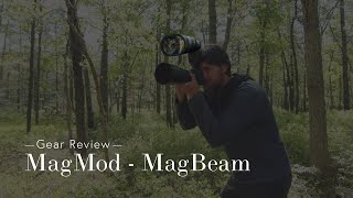 MagMod  MagBeam Wildlife Kit Review for Bird Photography [upl. by Readus536]