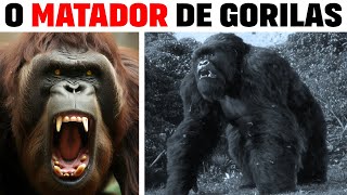 Gigantopithecus  O ÚNICO PRIMATA MAIS FORTE QUE O GORILA [upl. by Pippa]