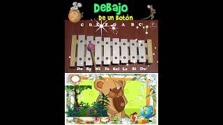 🎶 Canciones en Xilófono  songs on xylophone Tutorial con notas musicales𝄞 [upl. by Malinde]